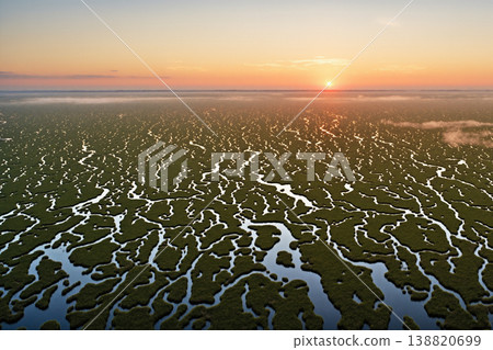 A fantastical aerial view of a spring wetland, featuring waterways and the rising sun – AI-generated image. 138820699