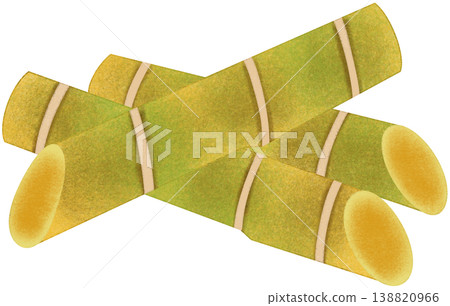 green cane plant green cane plant 138820966