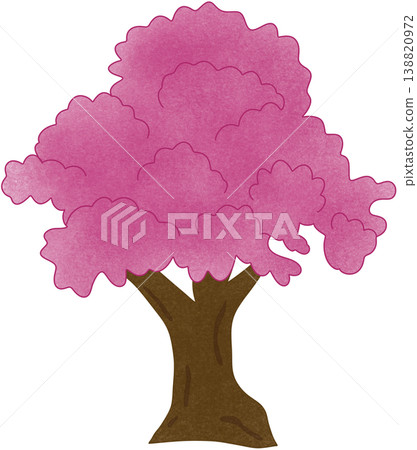 pink cherry blossom tree 138820972