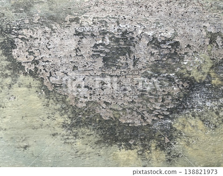 Close Up Of Severe Water Damage Mold And Peeling Paint On Wall Close Up Of Severe Water Damage Mold And Peeling Paint On Wall 138821973
