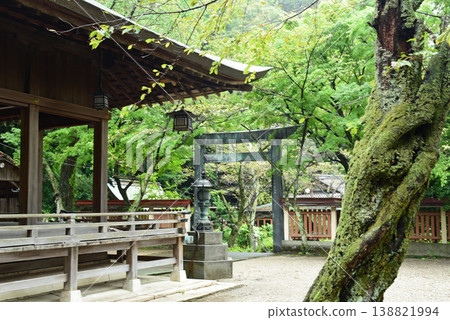 福井縣敦賀市金崎神社 福井縣敦賀市金崎神社 138821994