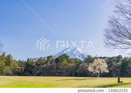 (Fujiyoshida City, Yamanashi Prefecture) Suwa-no-Mori Nature Park (Fuji Pines Park) in the fresh greenery (Fujiyoshida City, Yamanashi Prefecture) Suwa-no-Mori Nature Park (Fuji Pines Park) in the fresh greenery 138822105