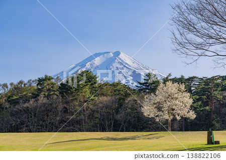 (山梨縣富士吉田市)綠意盎然的諏訪之森自然公園(富士松樹公園) (山梨縣富士吉田市)綠意盎然的諏訪之森自然公園(富士松樹公園) 138822106