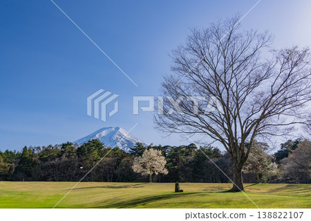(Fujiyoshida City, Yamanashi Prefecture) Suwa-no-Mori Nature Park (Fuji Pines Park) in the fresh greenery (Fujiyoshida City, Yamanashi Prefecture) Suwa-no-Mori Nature Park (Fuji Pines Park) in the fresh greenery 138822107