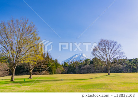 （山梨縣富士吉田市）綠意盎然的諏訪之森自然公園（富士松樹公園） 138822108
