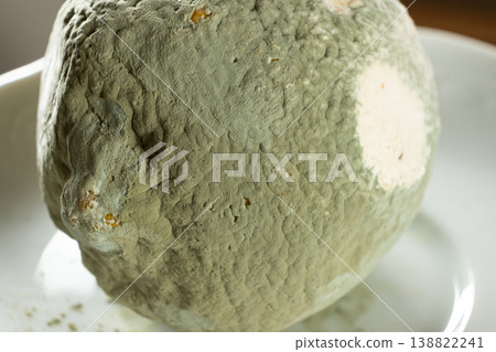 Close-up of green mold growing on a rotten fruit lemon. Close-up of green mold growing on a rotten fruit lemon. 138822241