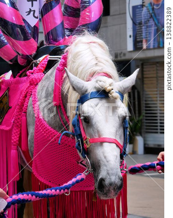 熊本市藤崎神社大祭典上的白色裝飾馬 138822389