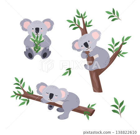 Cute koala with eucalyptus branches, on a tree in different poses and expressions. Vector illustration of cartoon animals of Australia. Flat style. Cute koala with eucalyptus branches, on a tree in different poses and expressions. Vector illustration of cartoon animals of Australia. Flat style. 138822610