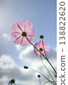 宇宙 138822620