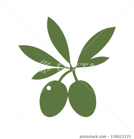 Modern Organic Olive Oil Brand Identity Illustration 138823135