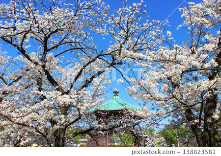 Ueno Shinobi Pond Bentendo 138823581
