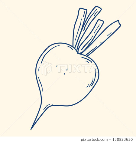 Beetroot hand drawn blue ink clip art 138823630
