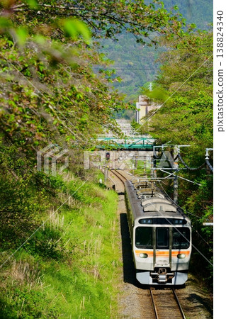 【山下町,櫻花已90%展葉】JR東海315系列車 【山下町,櫻花已90%展葉】JR東海315系列車 138824340
