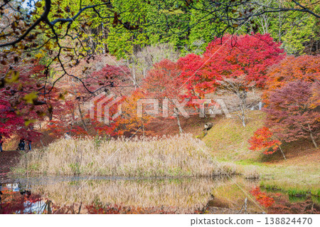 Takadoya Wetlands in Toyota City (Aichi Prefecture) Takadoya Wetlands in Toyota City (Aichi Prefecture) 138824470
