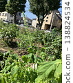 Hotashi Saisho 138824534