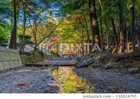 靜岡縣遠富國一宮市小國神社的秋葉 靜岡縣遠富國一宮市小國神社的秋葉 138824705