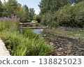 Peaceful Stream with Stone Dams and Wildflowers in Public Park 138825023