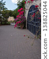Arched Wrought Iron Gate with Pink Bougainvillea in Mediterranean Alley 138825044