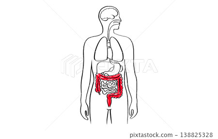 Intestine diseases sketch 138825328