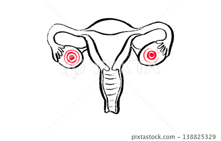 Female reproductive system Female reproductive system 138825329