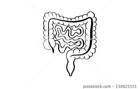 Human intestine sketch 138825331