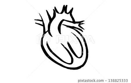 Human heart icon Human heart icon 138825333