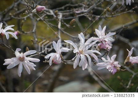 Four hand griefs (fistulas) Four hand griefs (fistulas) 138825335