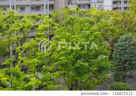 Fresh green trees against a blue sky; fresh green trees standing out against the blue sky; looking up at the fresh green trees; a landscape with fresh green trees and a blue sky; fresh green trees standing out against the blue sky. Fresh green trees against a blue sky; fresh green trees standing out against the blue sky; looking up at the fresh green trees; a landscape with fresh green trees and a blue sky; fresh green trees standing out against the blue sky. 138825511