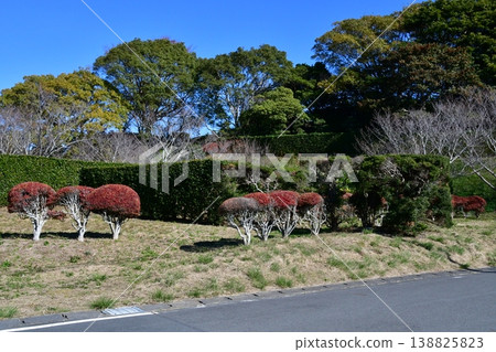 Yokosuka Castle 119: Nishinomaru earthworks, Ninomaru Yokosuka Castle 119: Nishinomaru earthworks, Ninomaru 138825823
