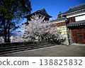 Ueda Castle Cherry Blossoms 138825832
