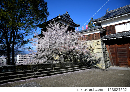 Ueda Castle Cherry Blossoms 138825832