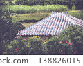 Okinawan scenery with red roofs 138826015