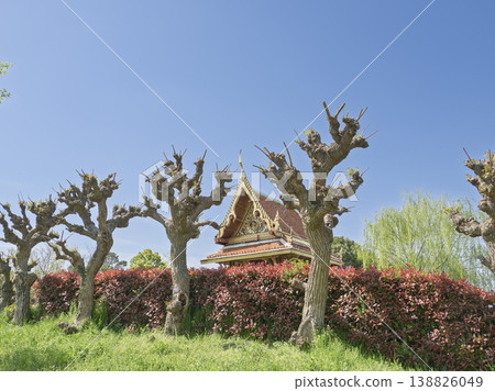 A spring garden exuding an exotic atmosphere. Traditional architecture stands tall in the Thai Garden of Tsurumi Ryokuchi Park. 138826049