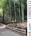 A path through a bamboo grove – a Moso bamboo grove. 138826112