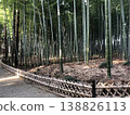 A path through a bamboo grove – a Moso bamboo grove. 138826113