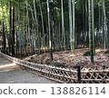 A path through a bamboo grove – a Moso bamboo grove. 138826114