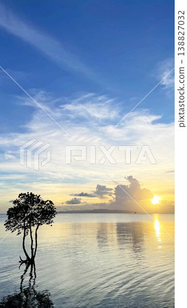 一棵孤零零的紅樹矗立在海中,夕陽西下時分,構成了一幅如夢似幻的景象。地點:沖繩縣石垣島。 一棵孤零零的紅樹矗立在海中,夕陽西下時分,構成了一幅如夢似幻的景象。地點:沖繩縣石垣島。 138827032