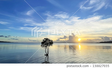 A single mangrove tree stands alone in the sea, creating a fantastical scene at sunset. Ishigaki Island, Okinawa Prefecture. 138827035
