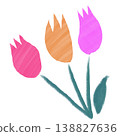 simple tulip illustration 138827636