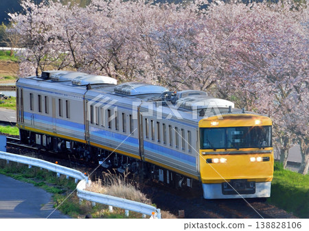 Kiha 95 沿著一排櫻桃樹運行 Kiha 95 沿著一排櫻桃樹運行 138828106