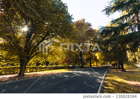 Great Alpine Rd Into Bright Australia Great Alpine Rd Into Bright Australia 138828164