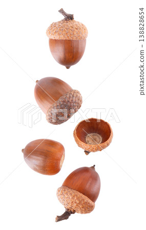 Acorn oak isolated on white background. Ripe brown acorn. Clipping path. Top view. 138828654