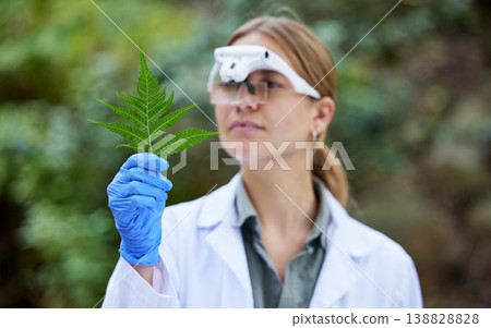 Science in forest, analysis and woman with leaf, studying growth of trees and sustainable plants in nature. Ecology, green leaves and research in biology, scientist with glasses and test inspection. Science in forest, analysis and woman with leaf, studying growth of trees and sustainable plants in nature. Ecology, green leaves and research in biology, scientist with glasses and test inspection. 138828828