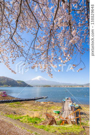 櫻花在河口湖和富士山上空飄舞。 櫻花在河口湖和富士山上空飄舞。 138829648