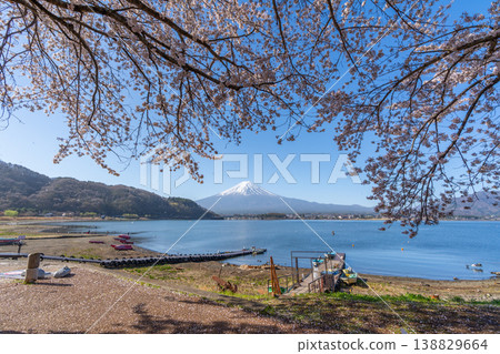 Cherry blossoms fluttering over Lake Kawaguchi and Mount Fuji Cherry blossoms fluttering over Lake Kawaguchi and Mount Fuji 138829664