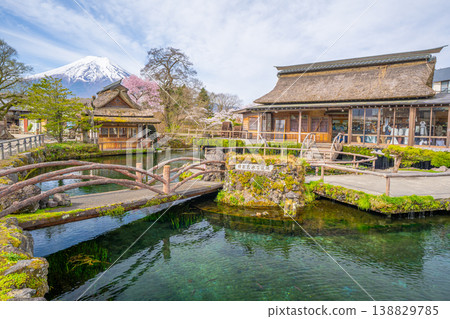 從忍野八海（忍野村）看到的春櫻和富士山 138829785