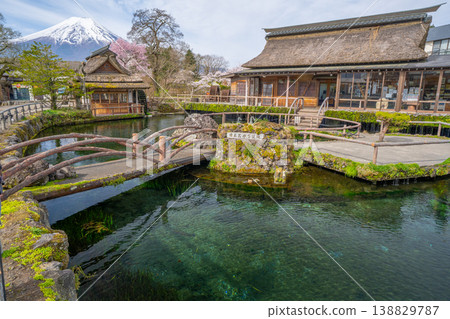 Spring cherry blossoms and Mount Fuji as seen from Oshino - "Oshino Village" 138829787