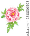 一幅手繪水彩插圖，描繪了盛開的牡丹花。 138830593