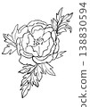 一幅手繪線條藝術插圖，描繪了盛開的牡丹花。 138830594