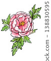 手繪線條畫和水彩插畫，描繪了盛開的牡丹花。 138830595